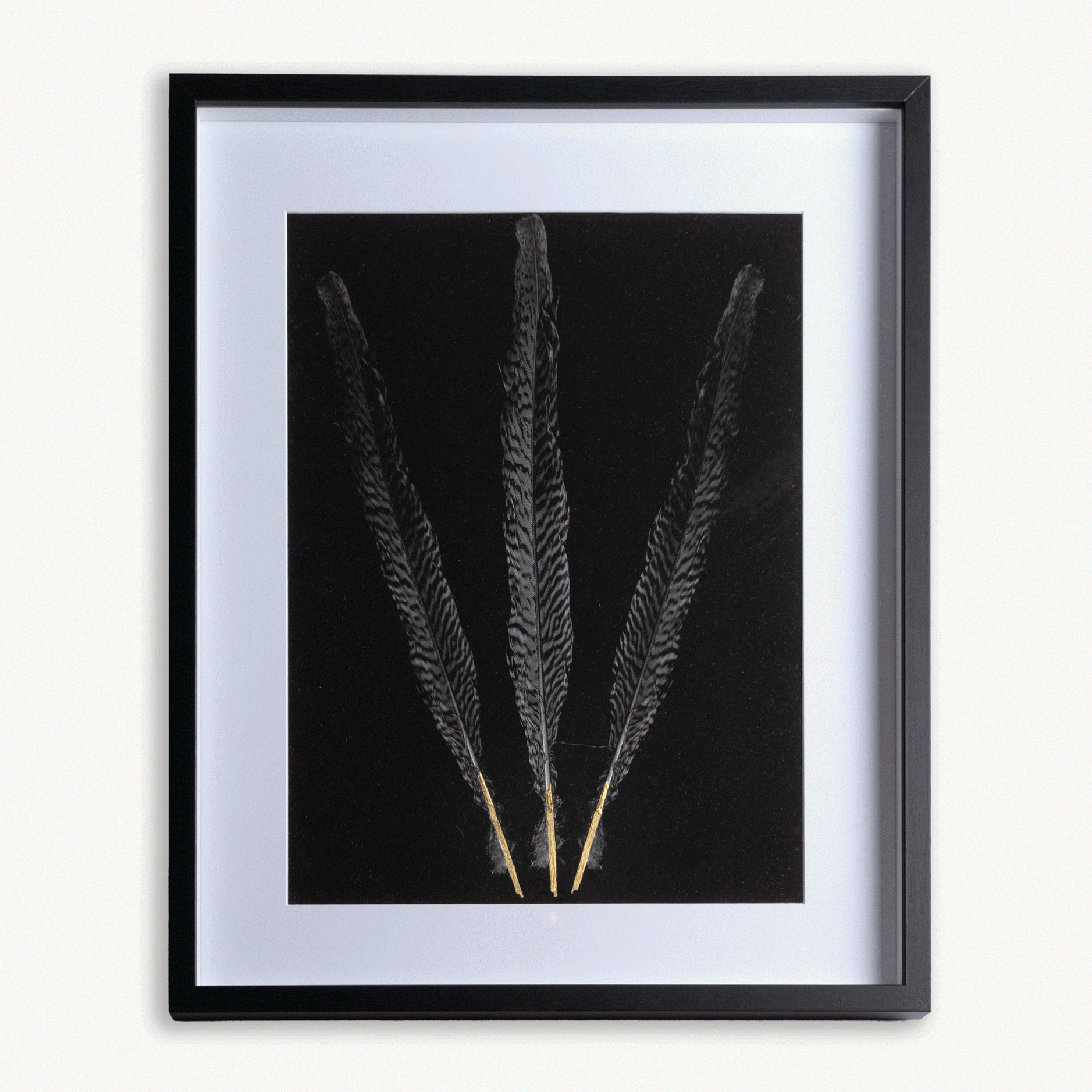 Three Gold Feathers